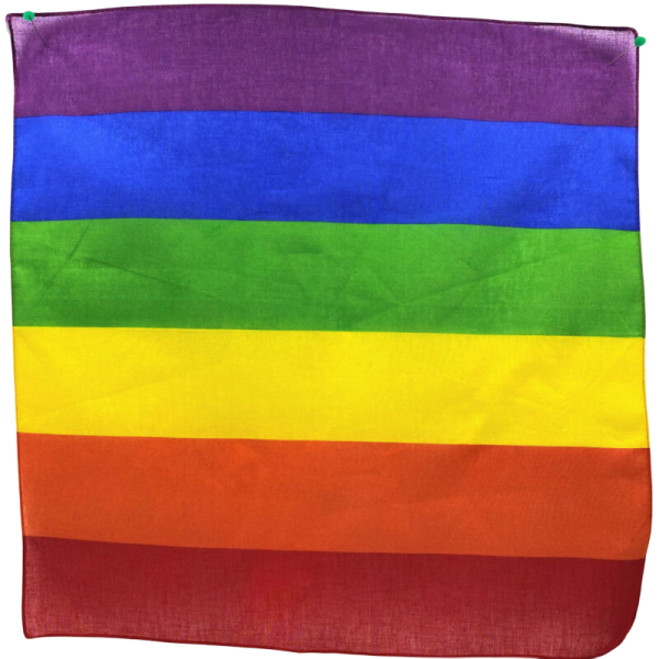 PRIDE - PAÑUELO LGBT 50 X 50