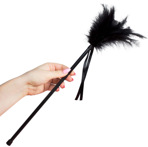 SECRETPLAY - PLUMERO PLUMAS NEGRO 40 CM